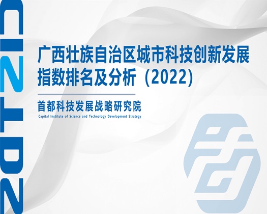 操板鸡网站免费观看【成果发布】广西壮族自治区城市科技创新发展指数排名及分析（2022）